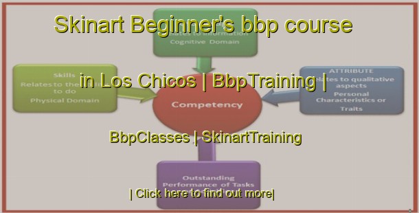 Skinart Beginner's bbp course in Los Chicos | BbpTraining | BbpClasses | SkinartTraining-Mexico